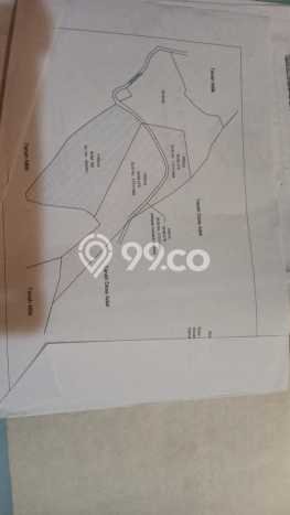 HARGA MENARIK! Tanah Kawasan Lovina, Luas 6500m2m², Lingkungan Nyaman HARGA MENARIK! Tanah Kawasan Lovina, Luas 6500m2m², Lingkungan Nyaman