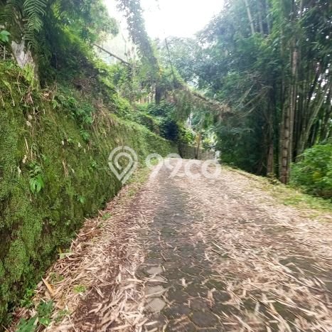 Tanah Kavling Dijual di Tabanan dengan Spesifikasi 5600m2 Tanah Kavling Dijual di Tabanan dengan Spesifikasi 5600m2
