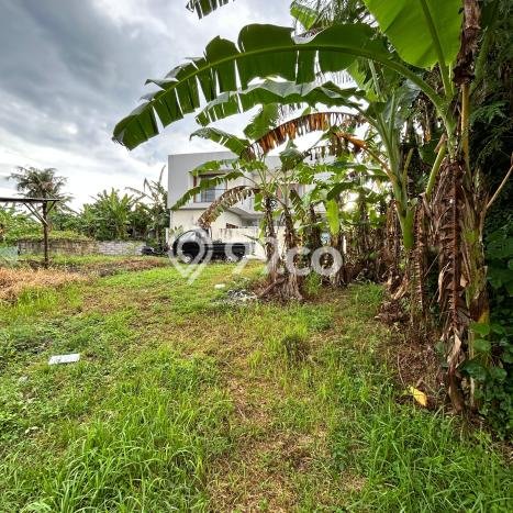 Tanah Dijual Area Strategis di Nyanyi Badung 560m2 Tanah Dijual Area Strategis di Nyanyi Badung 560m2