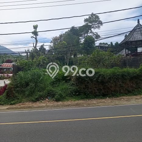 Tanah Siap Bangun Dijual di Tabanan Punya Luas 1500m2 Tanah Siap Bangun Dijual di Tabanan Punya Luas 1500m2