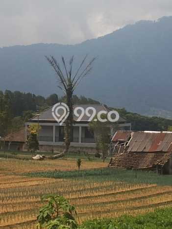 Kavling Tanah untuk Dijual di Bedugul, Tabanan, Luas 2500m2 Kavling Tanah untuk Dijual di Bedugul, Tabanan, Luas 2500m2