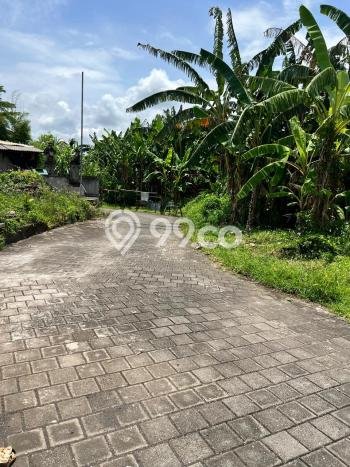 Tanah Dijual Lokasi Strategis di Badung dengan Luas 560m2 Tanah Dijual Lokasi Strategis di Badung dengan Luas 560m2