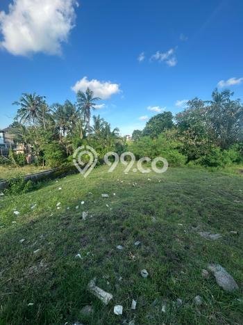 Dijual Tanah di Badung, Luas 600m2 SHM Dijual Tanah di Badung, Luas 600m2 SHM