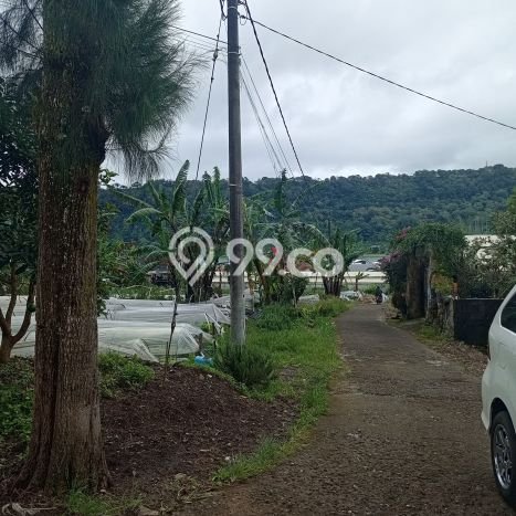 Dijual Tanah Lokasi Bedugul, Tabanan Seluas 500m2 Dijual Tanah Lokasi Bedugul, Tabanan Seluas 500m2