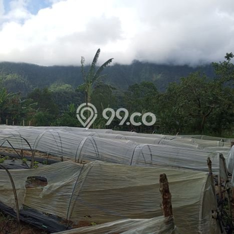 Dijual Tanah di Tabanan, Luas 5000m2 SHM Dijual Tanah di Tabanan, Luas 5000m2 SHM