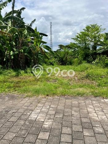 Tanah Dijual Lokasi Strategis di Badung dengan Luas 560m2 Tanah Dijual Lokasi Strategis di Badung dengan Luas 560m2