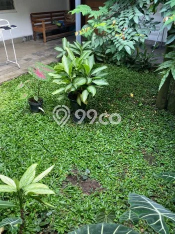 Rumah Elit LB 300m2 Siap Huni Desain Elegan di Pajajaran, Bandung Rumah Elit LB 300m2 Siap Huni Desain Elegan di Pajajaran, Bandung