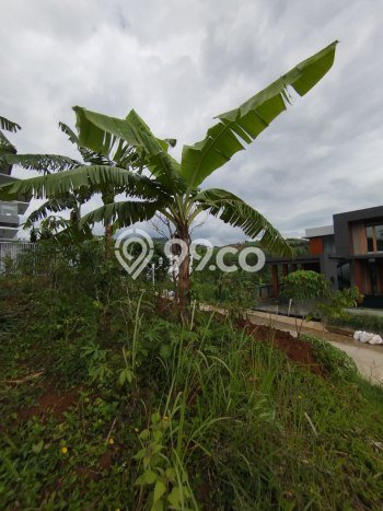 Kavling Tanah untuk Dijual di Resor Dago Pakar, Bandung, Luas 405m2 Kavling Tanah untuk Dijual di Resor Dago Pakar, Bandung, Luas 405m2