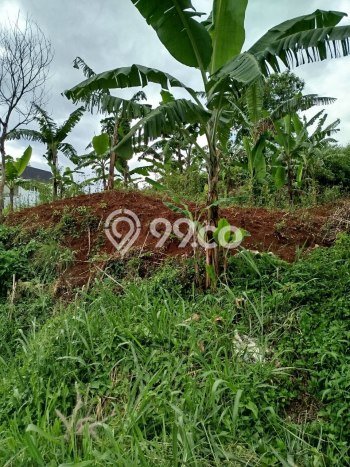 Kavling Tanah untuk Dijual di Resor Dago Pakar, Bandung, Luas 405m2 Kavling Tanah untuk Dijual di Resor Dago Pakar, Bandung, Luas 405m2