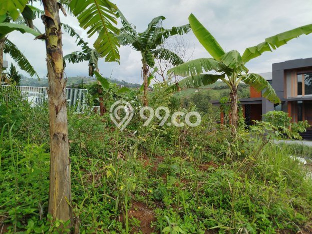 Kavling Tanah untuk Dijual di Resor Dago Pakar, Bandung, Luas 405m2 Kavling Tanah untuk Dijual di Resor Dago Pakar, Bandung, Luas 405m2