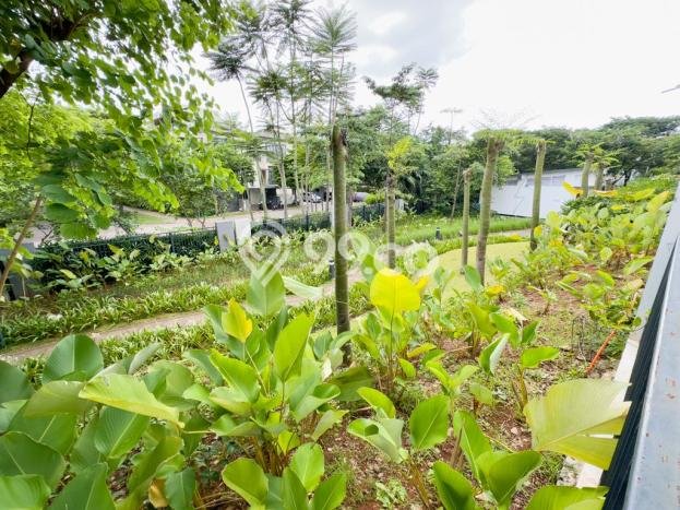 Rumah Elit LB 500m2 Siap Huni Desain Elegan di BSD City, Tangerang Rumah Elit LB 500m2 Siap Huni Desain Elegan di BSD City, Tangerang