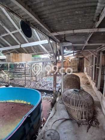 Tanah Dijual Lokasi Pasar Minggu Jakarta Selatan SHM Tanah Dijual Lokasi Pasar Minggu Jakarta Selatan SHM