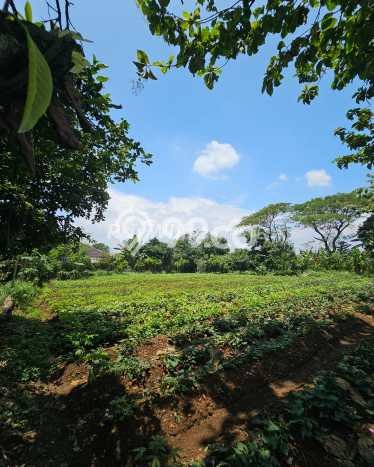 Tanah Dijual Lokasi Bogor Barat, Bogor dengan Luas Tanah 9350m2 dan Status SHM Tanah Dijual Lokasi Bogor Barat, Bogor dengan Luas Tanah 9350m2 dan Status SHM