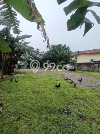 Tanah Dijual Lokasi Cibinong Bogor - Tanah Dijual Lokasi Cibinong Bogor -
