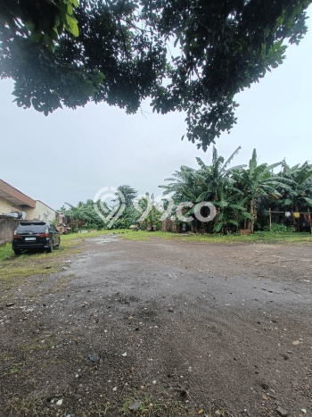 Tanah Dijual Lokasi Cibinong Bogor - Tanah Dijual Lokasi Cibinong Bogor -