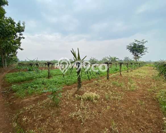 Tanah Dijual Lokasi Bogor Barat, Bogor dengan Luas Tanah 9350m2 dan Status SHM Tanah Dijual Lokasi Bogor Barat, Bogor dengan Luas Tanah 9350m2 dan Status SHM