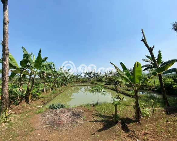 Tanah Dijual Lokasi Bogor Barat, Bogor dengan Luas Tanah 9350m2 dan Status SHM Tanah Dijual Lokasi Bogor Barat, Bogor dengan Luas Tanah 9350m2 dan Status SHM