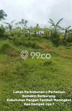 Tanah untuk Dijual Lokasi Limbangan, Kendal Luas 7700m2 - Tanah untuk Dijual Lokasi Limbangan, Kendal Luas 7700m2 -