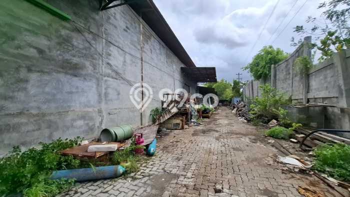 Gudang Bagus Dijual LB 2000m2 Lokasi Strategis Semarang Area Cocok untuk Bisnis Gudang Bagus Dijual LB 2000m2 Lokasi Strategis Semarang Area Cocok untuk Bisnis