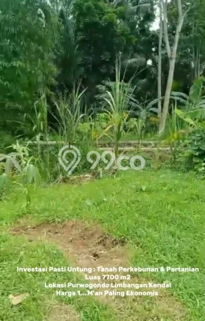 Tanah untuk Dijual Lokasi Limbangan, Kendal Luas 7700m2 - Tanah untuk Dijual Lokasi Limbangan, Kendal Luas 7700m2 -