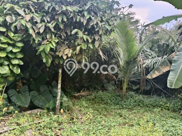 HARGA TERBAIK! Tanah Kawasan Turi, Luas 24600m2m², Area Premium HARGA TERBAIK! Tanah Kawasan Turi, Luas 24600m2m², Area Premium
