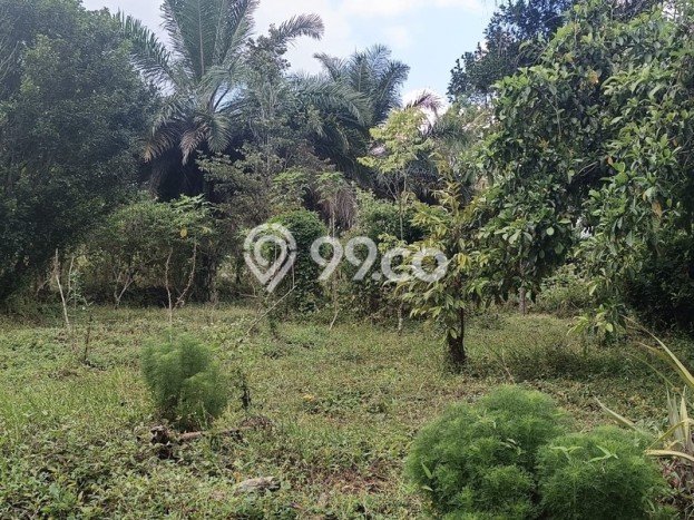HARGA TERBAIK! Tanah Kawasan Turi, Luas 24600m2m², Area Premium HARGA TERBAIK! Tanah Kawasan Turi, Luas 24600m2m², Area Premium