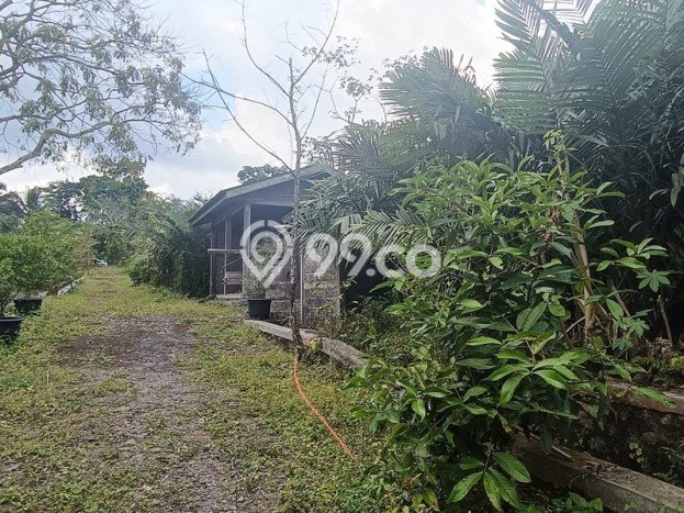 HARGA TERBAIK! Tanah Kawasan Turi, Luas 24600m2m², Area Premium HARGA TERBAIK! Tanah Kawasan Turi, Luas 24600m2m², Area Premium