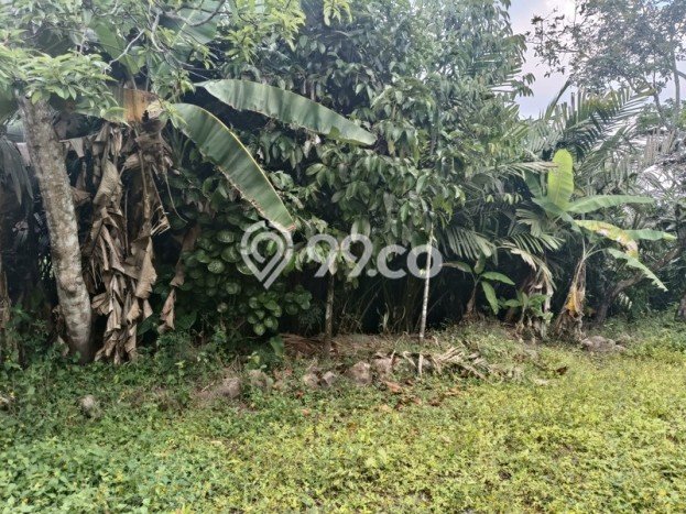 HARGA TERBAIK! Tanah Kawasan Turi, Luas 24600m2m², Area Premium HARGA TERBAIK! Tanah Kawasan Turi, Luas 24600m2m², Area Premium