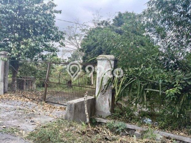 HARGA TERBAIK! Tanah Kawasan Turi, Luas 24600m2m², Area Premium HARGA TERBAIK! Tanah Kawasan Turi, Luas 24600m2m², Area Premium