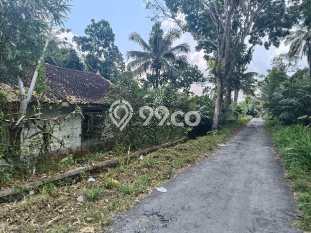 HARGA TERBAIK! Tanah Kawasan Turi, Luas 24600m2m², Area Premium HARGA TERBAIK! Tanah Kawasan Turi, Luas 24600m2m², Area Premium