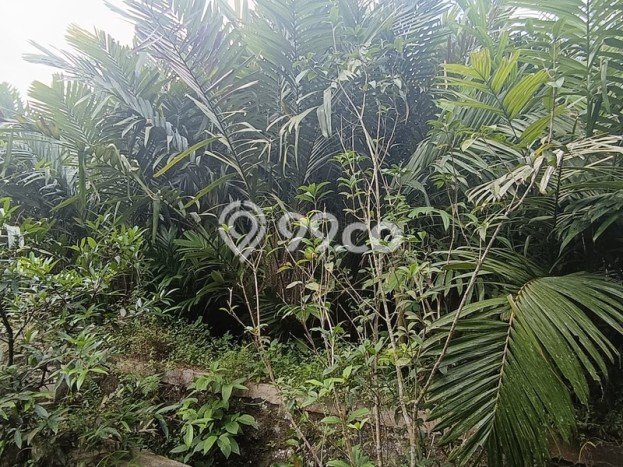HARGA TERBAIK! Tanah Kawasan Turi, Luas 24600m2m², Area Premium HARGA TERBAIK! Tanah Kawasan Turi, Luas 24600m2m², Area Premium