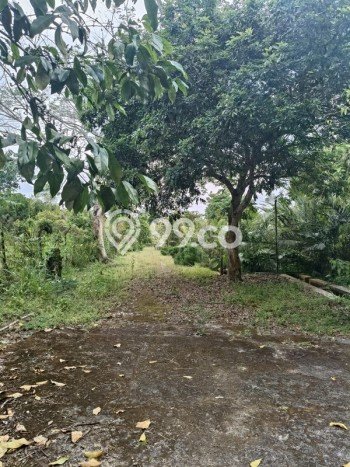 HARGA TERBAIK! Tanah Kawasan Turi, Luas 24600m2m², Area Premium HARGA TERBAIK! Tanah Kawasan Turi, Luas 24600m2m², Area Premium