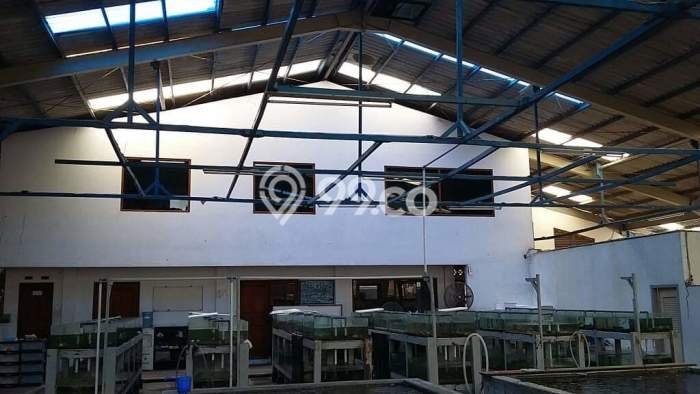Gudang Dijual di Jakarta Barat LT 4000m2 & LB 900m2 Lokasi Terbaik! Gudang Dijual di Jakarta Barat LT 4000m2 & LB 900m2 Lokasi Terbaik!