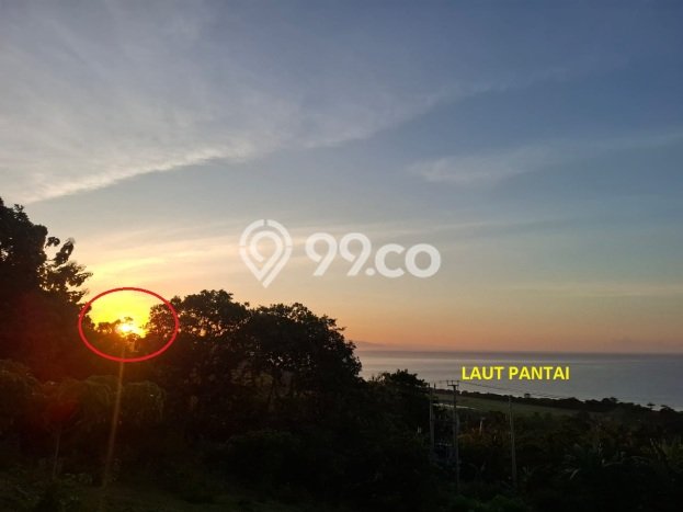 Tanah Dijual Lokasi Wanokaka, Sumba Barat Luas 19610m2 Legalitas Aman Tanah Dijual Lokasi Wanokaka, Sumba Barat Luas 19610m2 Legalitas Aman
