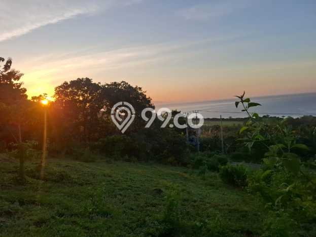 Tanah Dijual Lokasi Wanokaka, Sumba Barat Luas 19610m2 Legalitas Aman Tanah Dijual Lokasi Wanokaka, Sumba Barat Luas 19610m2 Legalitas Aman
