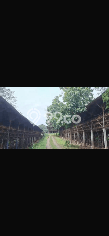 Lokasi Strategis! Dijual Pabrik Bisnis di Bogor Barat, Bogor Kondisi Baik Lokasi Strategis! Dijual Pabrik Bisnis di Bogor Barat, Bogor Kondisi Baik