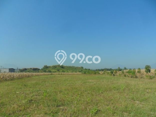 HARGA TERBAIK! Tanah Kawasan Kendal, Luas 1.165911e+06m², Area Potensial HARGA TERBAIK! Tanah Kawasan Kendal, Luas 1.165911e+06m², Area Potensial