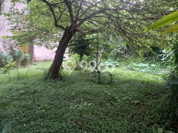 Tanah di Ciputat Timur, Luas 295m², Dekat Jalan Utama Tanah di Ciputat Timur, Luas 295m², Dekat Jalan Utama