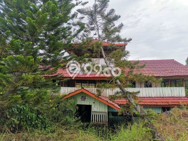 Jual Tanah Kawasan Pampangan, Luas 1.316283e+10m², Lingkungan Asri Jual Tanah Kawasan Pampangan, Luas 1.316283e+10m², Lingkungan Asri
