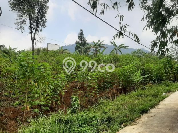 HARGA TERBAIK! Tanah Kawasan Babakan Madang, Luas 39394m², Area Premium HARGA TERBAIK! Tanah Kawasan Babakan Madang, Luas 39394m², Area Premium