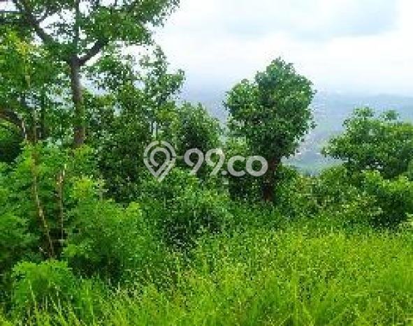 Dijual Tanah di Bojonegara, Luas 232170m², Akses Bojonegara, Serang, Serang Dijual Tanah di Bojonegara, Luas 232170m², Akses Bojonegara, Serang, Serang