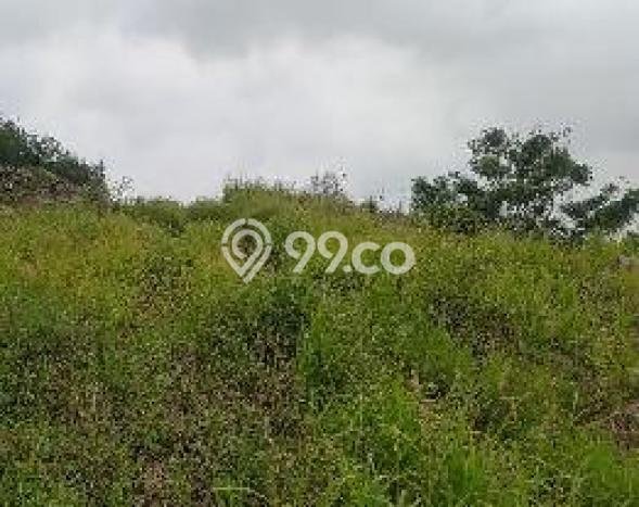 Dijual Tanah di Bojonegara, Luas 232170m², Akses Bojonegara, Serang, Serang Dijual Tanah di Bojonegara, Luas 232170m², Akses Bojonegara, Serang, Serang