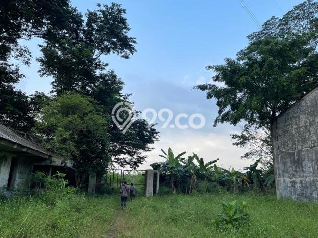 HARGA MENARIK! Tanah di Citeureup, Luas 89421m², Kawasan Berkembang, Bebas Longsor HARGA MENARIK! Tanah di Citeureup, Luas 89421m², Kawasan Berkembang, Bebas Longsor