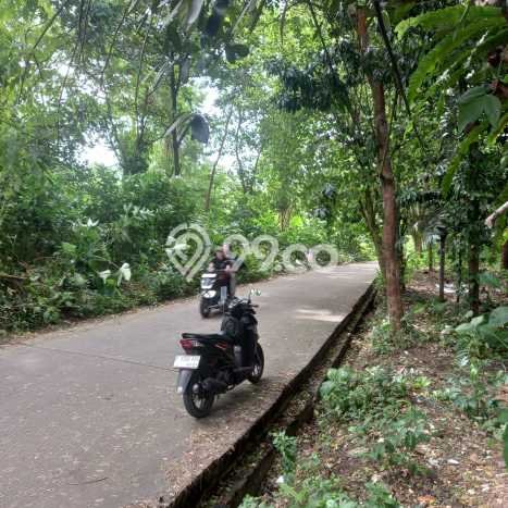 Tanah Kavling Dijual di Bogor dengan Spesifikasi 5578m2 Tanah Kavling Dijual di Bogor dengan Spesifikasi 5578m2