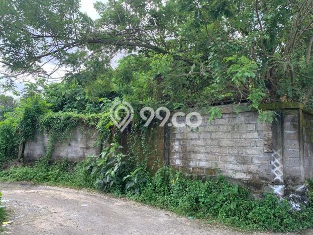 Kavling Tanah di Ubud Dijual Luas 2015m2 Legalitas SHM Kavling Tanah di Ubud Dijual Luas 2015m2 Legalitas SHM