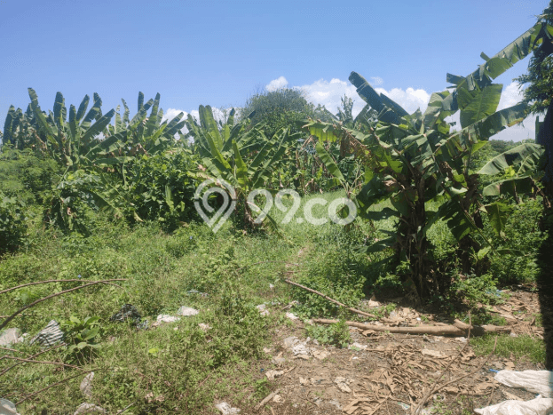 Tanah Dijual Lokasi Denpasar Timur Denpasar SHM Tanah Dijual Lokasi Denpasar Timur Denpasar SHM