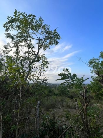 Tanah Dijual Lokasi Kuta Selatan, Badung Luas 6000m2 Legalitas Aman Tanah Dijual Lokasi Kuta Selatan, Badung Luas 6000m2 Legalitas Aman