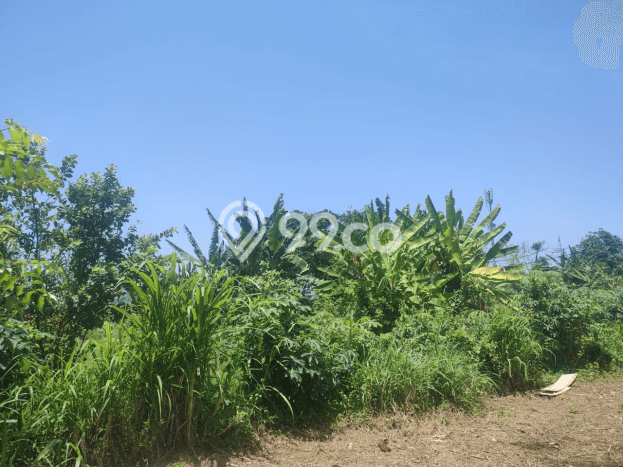 Tanah Dijual Lokasi Denpasar Timur Denpasar SHM Tanah Dijual Lokasi Denpasar Timur Denpasar SHM