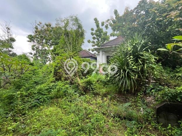 Lahan Kosong Dijual di Buleleng, Buleleng, Luas 1400m2 Area Strategis Lahan Kosong Dijual di Buleleng, Buleleng, Luas 1400m2 Area Strategis