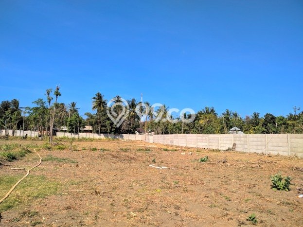 Tanah Dijual Area Strategis di Kuta Lombok Tengah 30606m2 Tanah Dijual Area Strategis di Kuta Lombok Tengah 30606m2